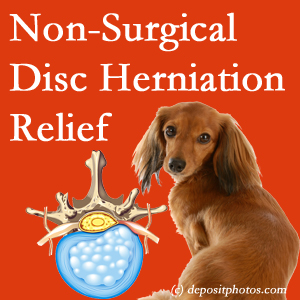 Often, the Nashua disc herniation treatment at Moriarty Chiropractic successfully reduces back pain for those with disc herniation. (Veterinarians treat dachshunds’ discs conservatively, too!) 