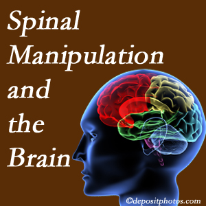 Moriarty Chiropractic [presents research on the benefits of spinal manipulation for brain function. 
