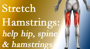 Moriarty Chiropractic encourages back pain patients to stretch hamstrings for length, range of motion and flexibility to support the spine.