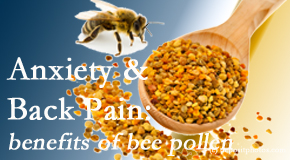 Moriarty Chiropractic shares info on the benefits of bee pollen on cognitive function that may be impaired when dealing with back pain.
