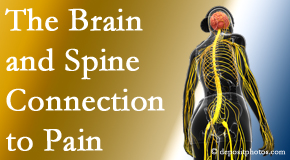 Moriarty Chiropractic looks at the connection between the brain and spine in back pain patients to better help them find pain relief.