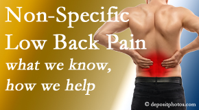 Moriarty Chiropractic share the specific characteristics and treatment of non-specific low back pain. 