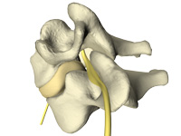 cervical spine no pain with Nashua chiropractic