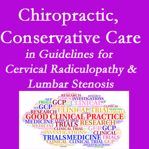 Nashua chiropractic care for cervical radiculopathy and lumbar spinal stenosis is often ignored in medical studies and guidelines despite documented benefits. 