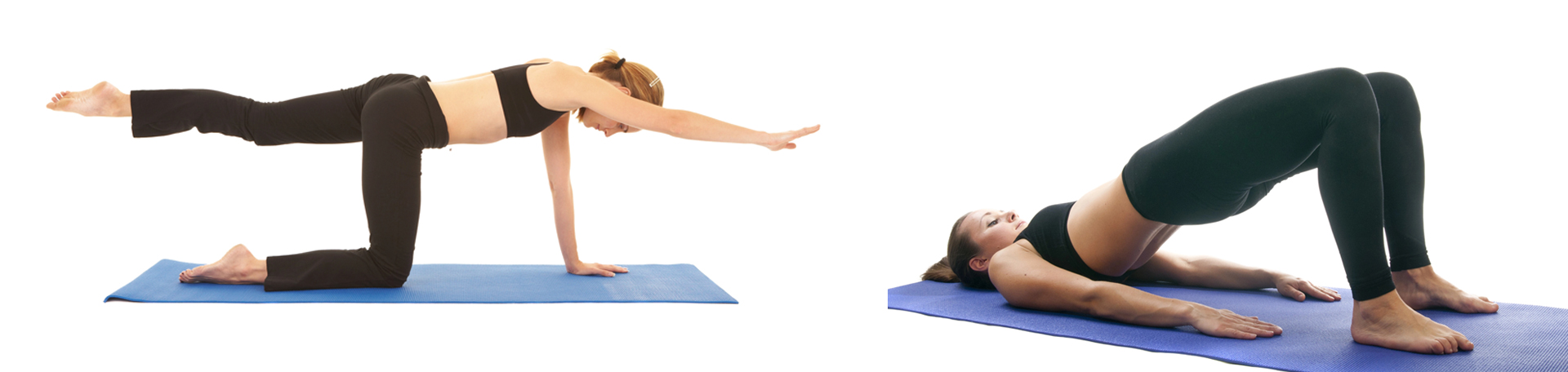 Nashua chiropractic exercise to strengthen multifidus