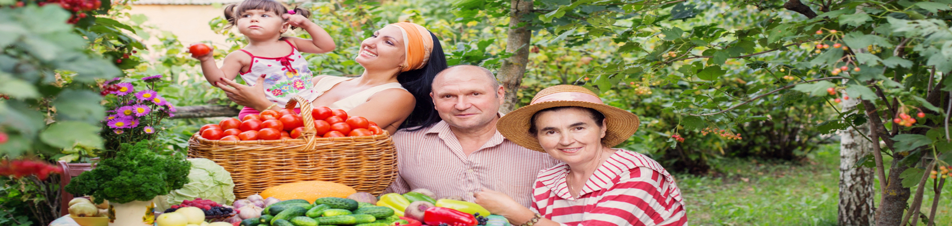 Nashua chiropractic summer health tips