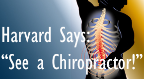 Nashua chiropractic for back pain relief urged by Harvard