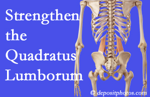 Nashua chiropractic care proposes exercise recommendations to strengthen spine muscles like the quadratus lumborum as the back heals and recovers.