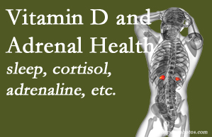Moriarty Chiropractic shares new research about the effect of vitamin D on adrenal health and function.